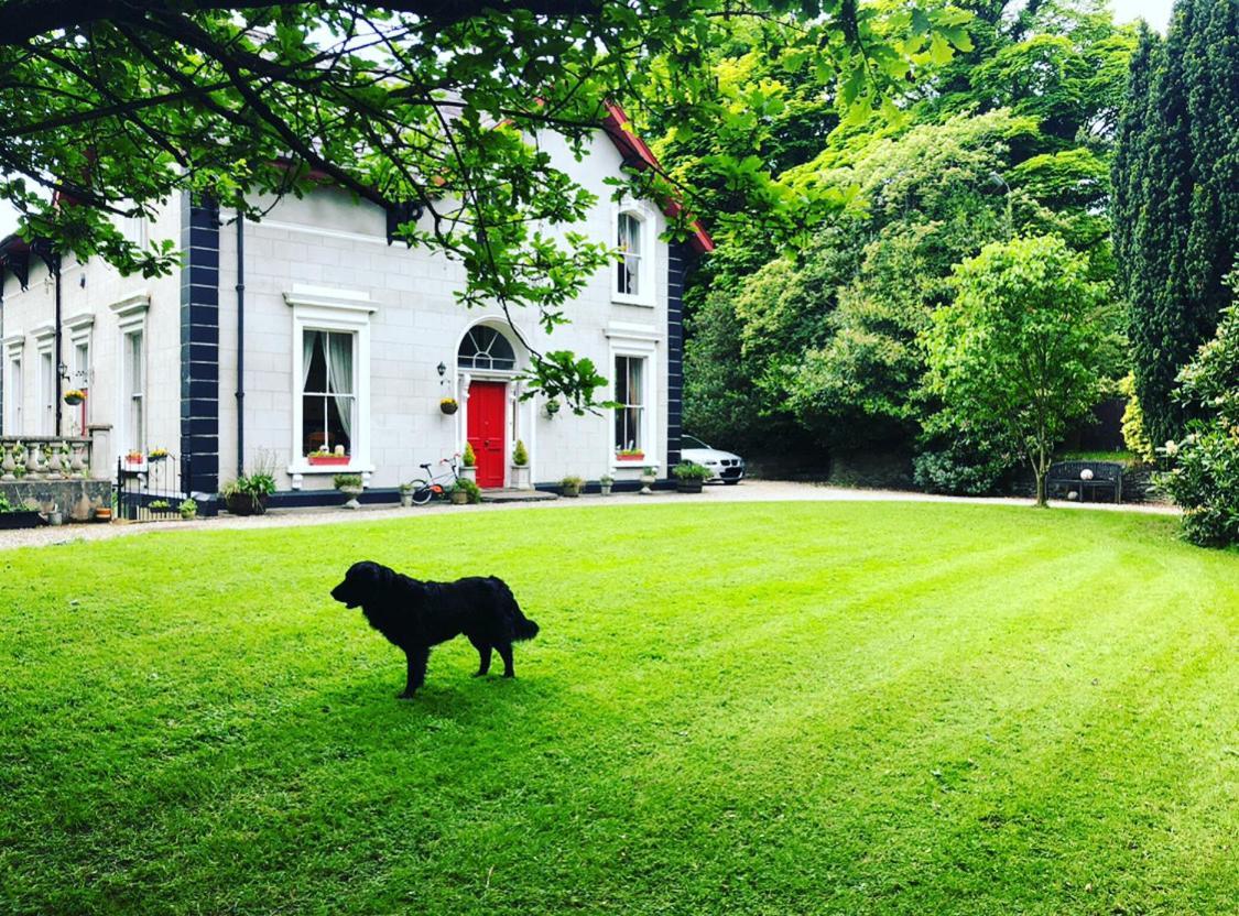 فيلا Fountain Hill House لندنديري المظهر الخارجي الصورة